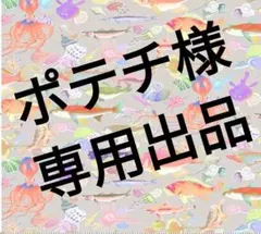 ポテチ様専用出品　2/0 50本ワームキーパー付き