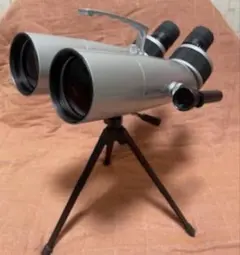 Item thumbnail for item 9ebc72d1-bc60-4a2c-b76e-a6a648ef6f6d