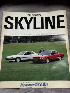 日産 ニューマン・スカイライン カセットテープケース 2つセット ニューマン スカイライン カセットケース - メルカリ