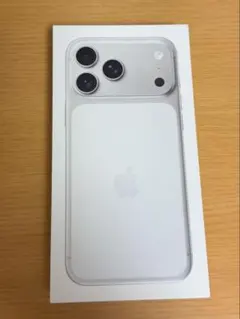 17promax 256 シルバー　箱　充電ケーブル付