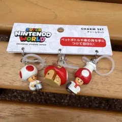 USJ限定 キノピオカフェ めじるしチャームセット めじるしアクセサリー