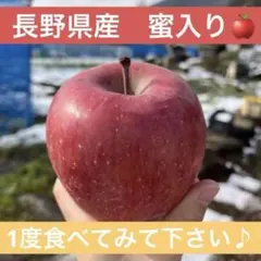 数量限定‼️長野県産サンふじ蜜入りりんご甘い美味しい美味しい林檎産地直送新鮮31