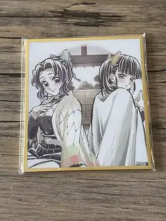 鬼滅の刃　アクリル色紙　WEB SHOPくじ　胡蝶しのぶ　栗花落カナヲ