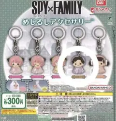 ＳＰＹ×ＦＡＭＩＬＹ めじるしアクセサリー