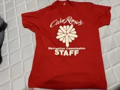 90s SCREEN STARS Cedar Rapids STAFF Tシャツのサムネイル