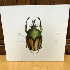 2025年最新】JYJ COME ON OVERの人気アイテム - メルカリ