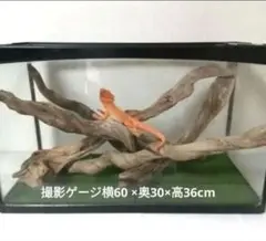 Item thumbnail for item 14022336-c680-4716-8966-e9300c7877b6