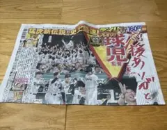 阪神タイガース　2025年　優勝　デイリースポーツ