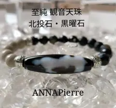 ❤ジュエルオーキッド✨️ホンコンシュスラン✨️紺覆輪曙中斑✨️超大