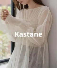 最終お値下 Kastane シアー素材 長袖シャツ チュールのサムネイル