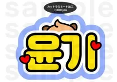 SUGA BTS うちわ文字 ネームボード 防弾少年団 バンタン ユンギ