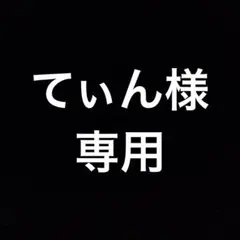 てぃん様　専用