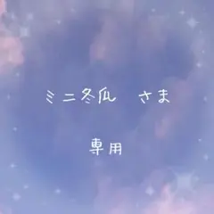 専用ページ