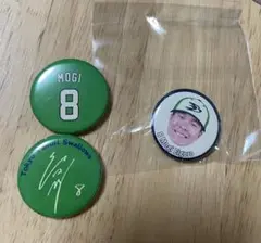 山田哲人 燕パワープロジェクト 缶バッジ - メルカリ