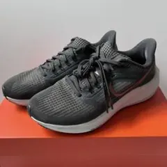 最終値下げ⭐︎ナイキ ランニングシューズ ペガサス39 ブラック Nike