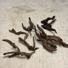 2025年最新】ホーンウッド adaの人気アイテム - メルカリ