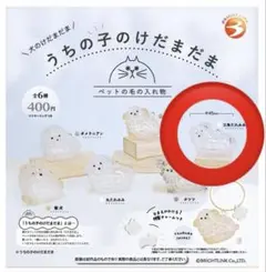 うちの子のけだまだま　犬のけだまだま　三角たれみみ