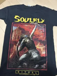 SOULFLY Tシャツ 2001コピーライト入り ヴィンテージ 2025年最新】soulfly tシャツの人気アイテム - メルカリ