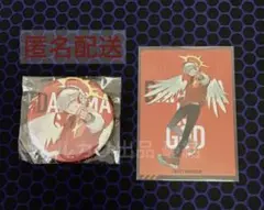 CRチップス だるまいずごっど ステッカー・特典缶バッジ クレイジーラクーン
