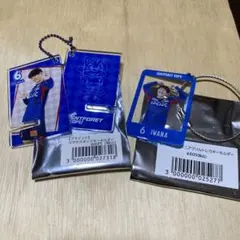 ヴァンフォーレ甲府 6.小林岩魚スマホスタンドキキーホルダー&トレカキーホルダー