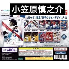 【フラットガシャポン】MLB™ クリアファイルコレクション 小笠原慎之介