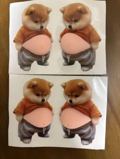 柴犬 お腹出しシール 4枚セット