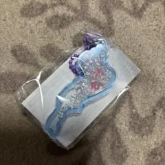 Biwako 琵琶湖キーホルダー　カプセルトイ　水色　肉球