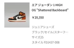 Shattered Backboard" 25cm シャタバ