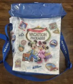 【中古品】ディズニバケーションパッケージ ポップコーンケース バケット