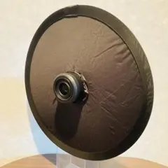 Item thumbnail for item 5379856e-659b-468b-ad9a-94359f0d7b74