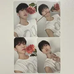 17 is right here Dear盤 ホシ トレカ