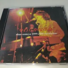 50.16 やわらかな革命 shun someya 1999-2000
