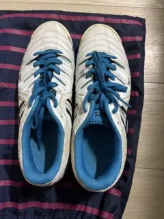 Item thumbnail for item a3c24635-3777-4add-917b-62e132d49ed6