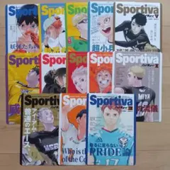 全13種セット ハイキュー ショーセツバン ビジュアルボード