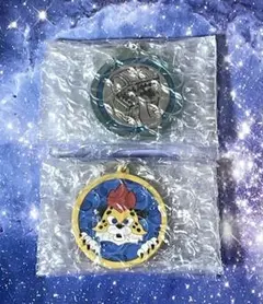 ドラゴンクエストウォーク　メダルキーホルダー　コイン　ドラクエ　中部