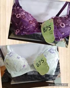 レディース下着 【B75】