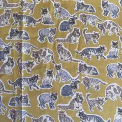 Item thumbnail for item d105ed87-68c8-4ebe-98c2-7a056867503b