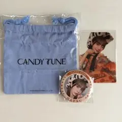 CANDY TUNE 南なつ ちびぬいポーチ - メルカリ