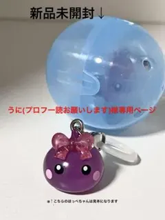 うに(プロフ一読お願いします)様専用ページです。