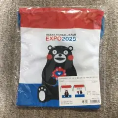 Item thumbnail for item 5d1e2f6c-c13f-4110-a843-ba93b6186192