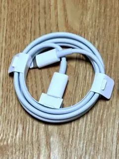 Apple 純正 Lightningケーブル