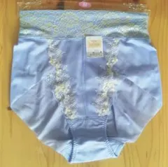 Wing Lesiage ショーツ PU Mサイズ