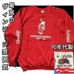 フルーツオブザルーム◽️ボロスウェット◽️フェード感◽️ウォッシュド感◽️袖プリント