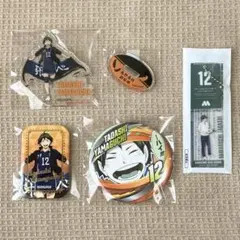 2026年最新】タイトル：ハイキュー!! キャラクターグッズ ピンズ