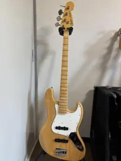 2026年最新】FENDER ソフトケースの人気アイテム - メルカリ