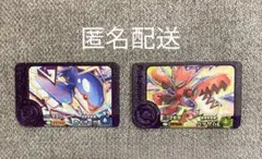 ポケモンフレンダ ベストタッグ２弾 カイオーガ、ハッサム