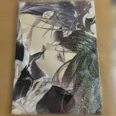 ファイナルファンタジー10 天野喜孝 クリアファイル - メルカリ