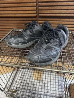 Item thumbnail for item 6799940b-3df3-47bc-89e6-1f766725441a