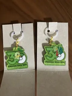 ポケチャーム　30周年ロゴマスコット　キモリナエトル　２点セット