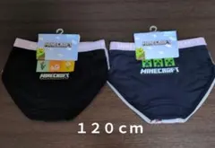 Item thumbnail for item 8ade772b-2e21-4e37-b753-62f8107b8794